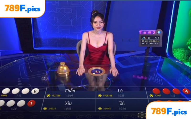 Hướng Dẫn Luật Xóc Đĩa Dễ Hiểu Cho Tân Thủ